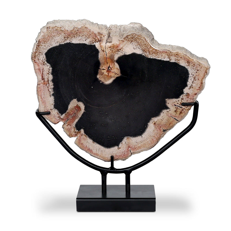 Petrified Wood Sculpture