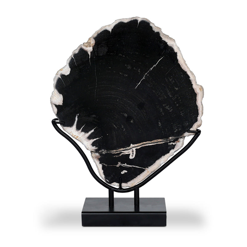 Petrified Wood Sculpture