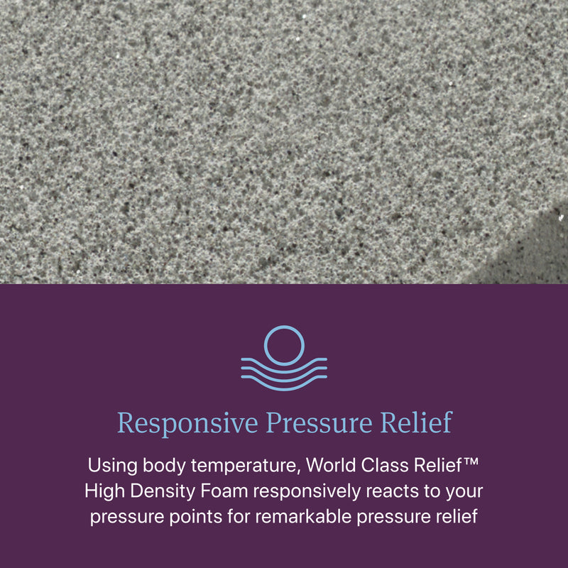 Beautyrest World Class Level Three Plush Mattress